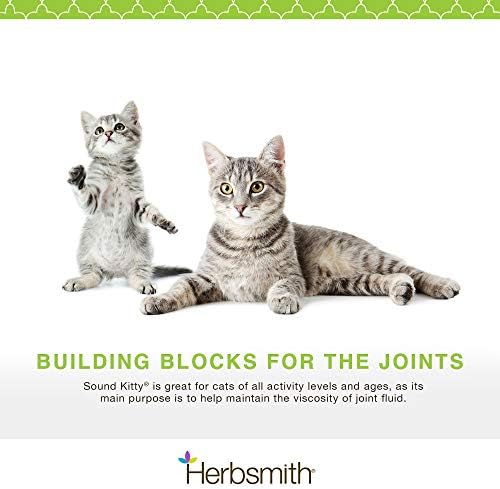 Herbsmith Sound Kitty – 5-u-1 njega zglobova za mačke sa hondroitinom, glukozaminom & MSM - prirodno ublažavanje bolova u zglobovima za mačke – 75g
