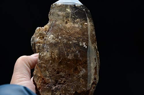 Reare Real Tibet Himalayan Visoka visina jasan zlato rutilirani kristalni kvarcni klaster 6,88 inčni duhovni