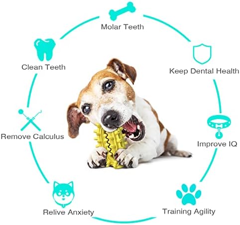 Funny pasa žvakačke igračke za agresivne žvakače idealne za male, srednje i velike pse izdržljive psečke čišćenja igračke za čišćenje pomažući u čišćenje zuba i sprečavajući zubni kalkulus
