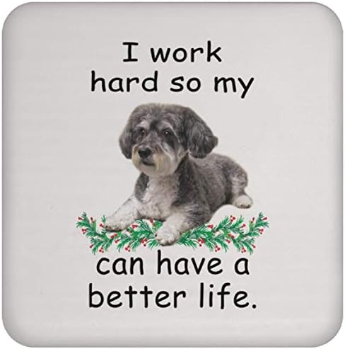 Smiješan izgovaranje poklona schnoodle siva može živjeti bolje pa moj pas može imati bolji život Božić 2023 poklona coaster