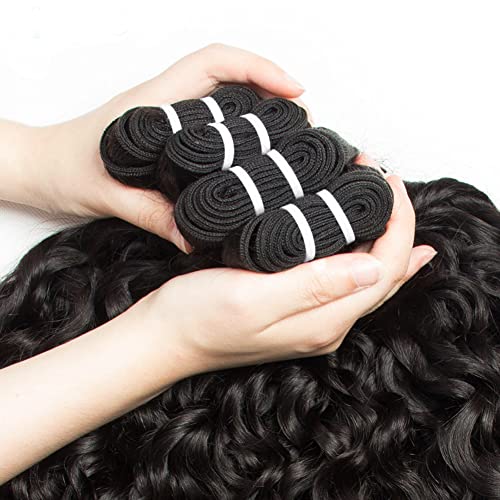 Single human Hair Bundle Water Wave Bundle Human Hair Curly Hair Bundle Unprocessed Brazilain Human Hair Bundle