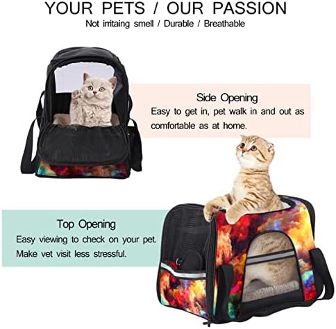 Nosač za kućne ljubimce Cool fraktal Paint Meki putni nosači za kućne ljubimce za Mačke, Psi Puppy Comfort Prijenosna sklopiva torba za kućne ljubimce odobrena aviokompanija