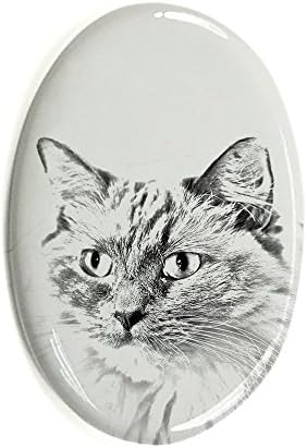 Art Dog Ltd. Ragdoll, Ovalni nadgrobni spomenik od keramičke pločice sa slikom mačke