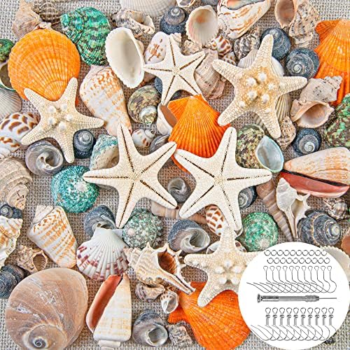 KAMHX školjke na plaži mješovite veličine, školjke i morske zvijezde, pogodne za tematske zabave na plaži,