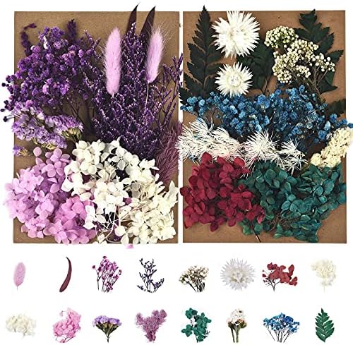 Dalaran 6 pakovanje prešano sušeno cvijeće Višestruko šareno prešano cvijeće za nakit za obrtna smola stvara umjetnička zanata