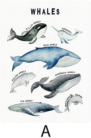 Ispiši platno slikanje zidne umjetnosti Slike kitovi morski psi Charpe Plasteri Životinje Dječji otisci za djecu Dječja dekoracija sobe-2pcs Nema okvira