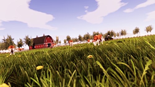 Real Farm-PlayStation 4