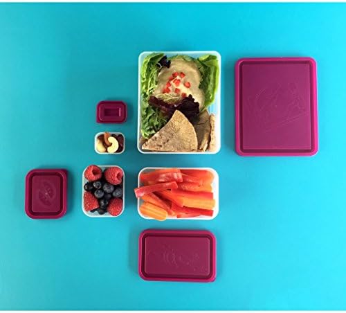 Kontejneri za ručak za višekratnu upotrebu - Set od 4 sigurna za mikrovalnu pećnicu, kontejneri za gniježđenje za pripremu obroka, pakovanje hrane, grickalice i umaci u odjeljcima koji su otporni na curenje s poklopcima, lako se čiste, stane u torbe & Bento kutije