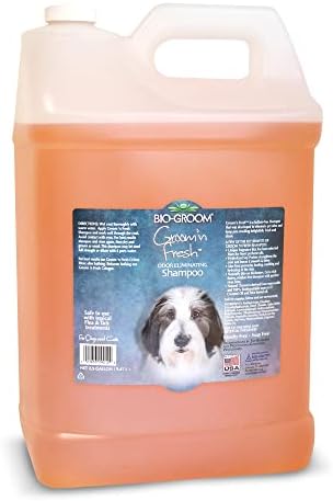 Bio-Groom Groom 'N Fresh šampon za kondicioniranje psa i mačke, 12 unci