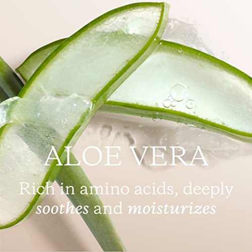 KORA Organics Minty mineralna hidratantna magla sa Aloe Verom / Refresh & amp | Uplift | Certified Organic / Cruelty Free / 3.38 fl oz