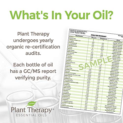 Biljna terapija organsko plavo tansy eterično ulje čisto, nerazrijeđene, prirodne aromaterapijom, terapijski razred 2,5 ml